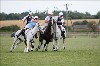 UKPA NC SAT_2958